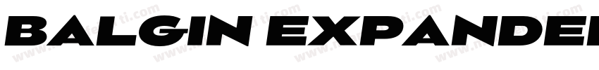 BALGIN EXPANDED字体转换